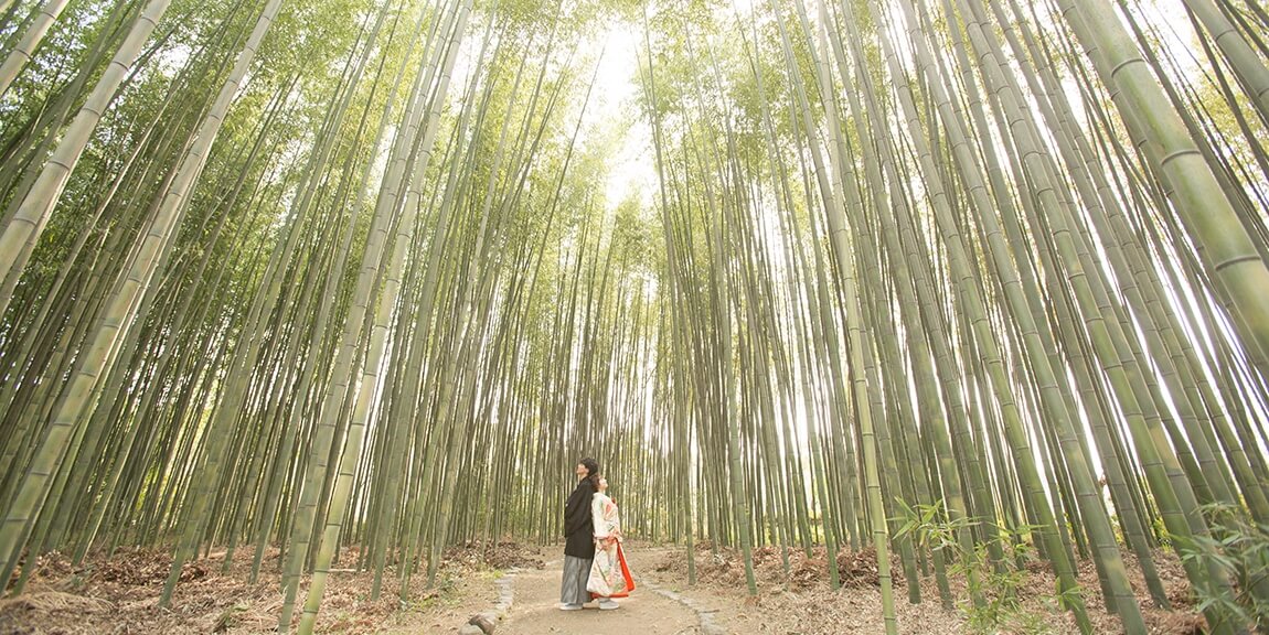 KYT-arashiyama_spot1.jpg