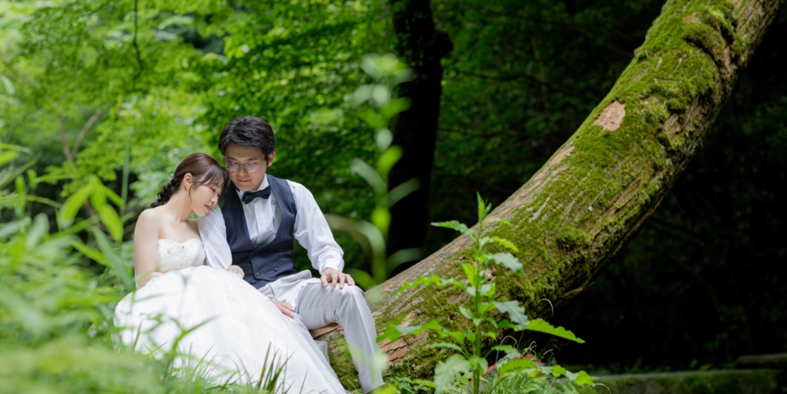 img-reco-yamabukisuigen-0001-2
