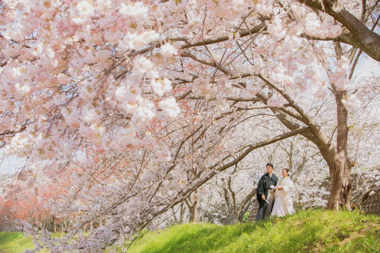 フォトウェディング,前撮り,スタジオ撮影,後撮り,スタジオフォト,ウェディングドレス,タキシード