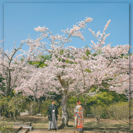 フォトウェディング,前撮り,スタジオ撮影,後撮り,スタジオフォト,カラードレス,洋装,タキシード