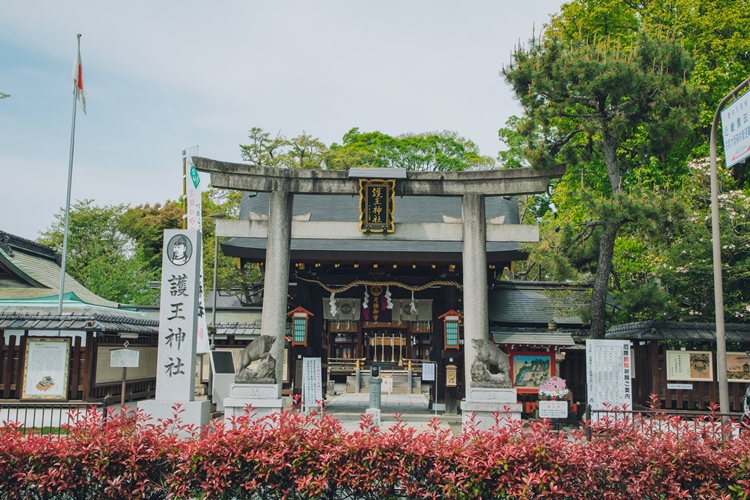 護王神社