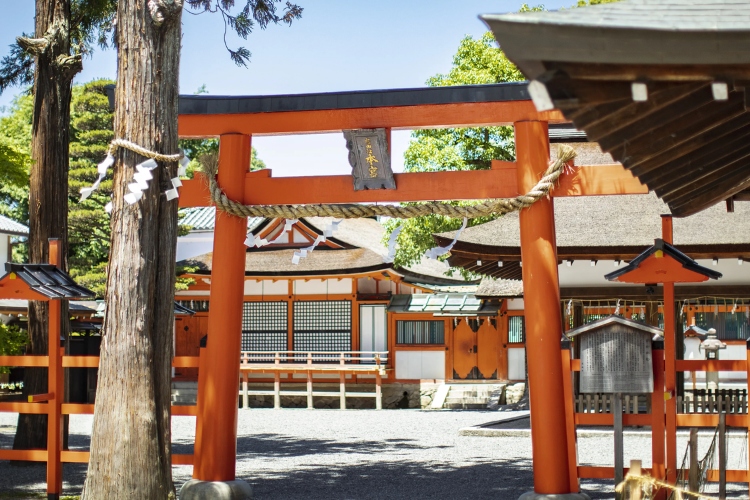 ブランバーチ,チャペル,チャペルフォト,前撮り,フォトウェディング,ロケーションフォト,挙式,少人数挙式,少人数婚