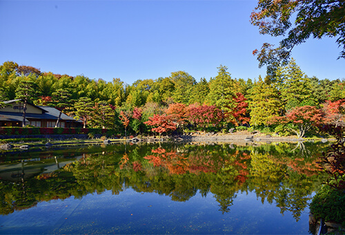 立川フォトサロン