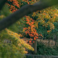 keitakuen_spot_2