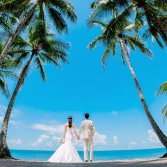 AUS-palm-cove-beach_spot2