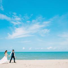 AUS-palm-cove-beach_spot3