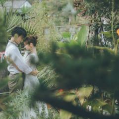 hinokiandthegreen_m2