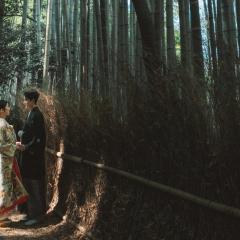 KYT-arashiyama_spot1-2
