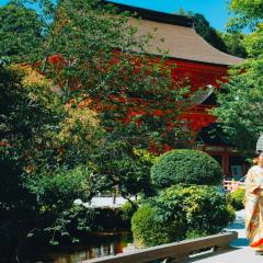 kamigamo_m1