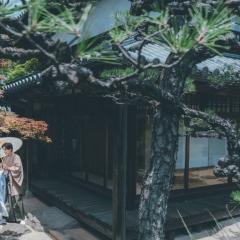 ikashinoya_spot1