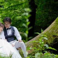 img-reco-yamabukisuigen-0001-2