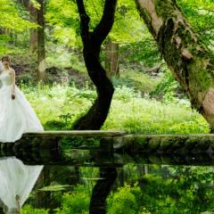 img-reco-yamabukisuigen-0003-2