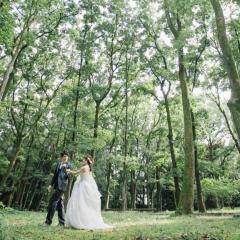 gunmanomori_spot4