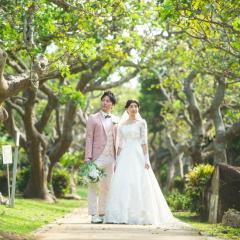 tropical-botanical-garden_spot1-1