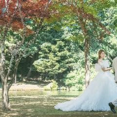 niseko_spot3