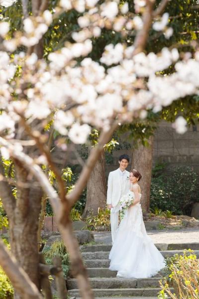 芝公園フォトスタジオ