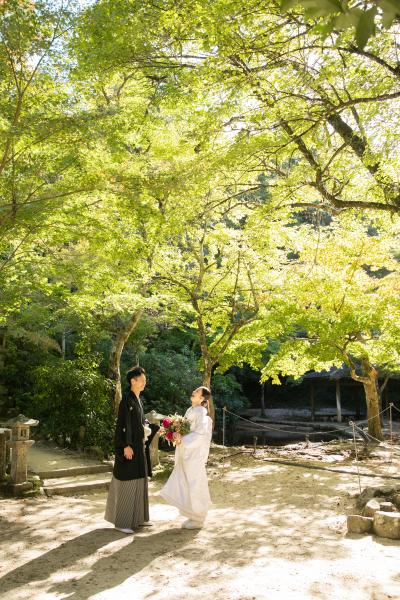 OSK_terao_picture (8)