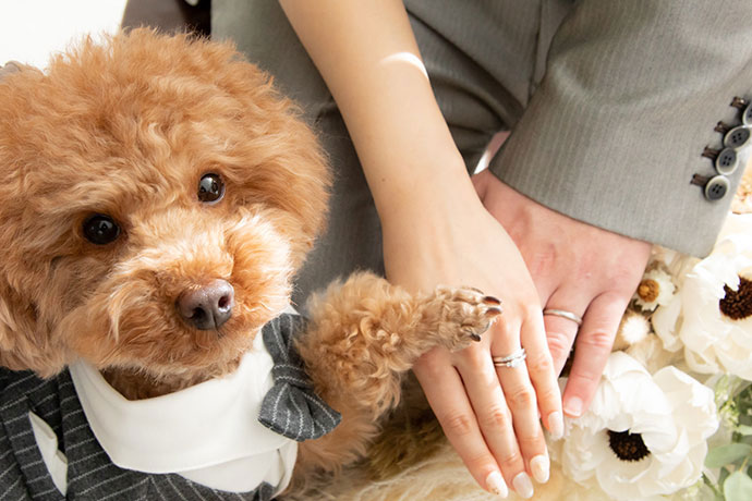 仙台ペットフォト