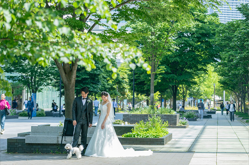 ロケーション データプラン